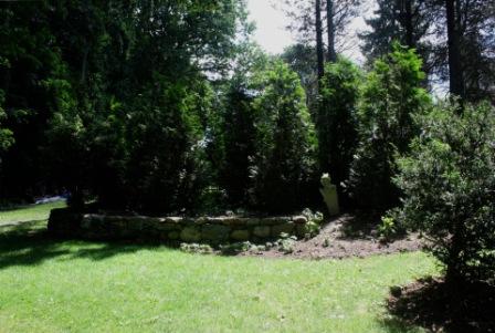 Main House - Backyard